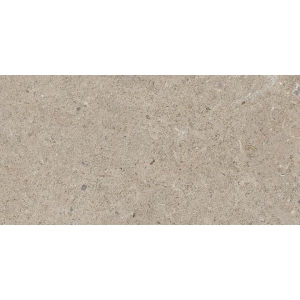 Panaria Surround 30x60x0,8cm Grijs mat PBBSD40