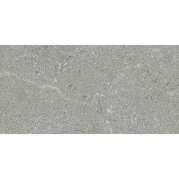 Panaria Surround 30x60x0,9cm Grijs mat PBBSD20