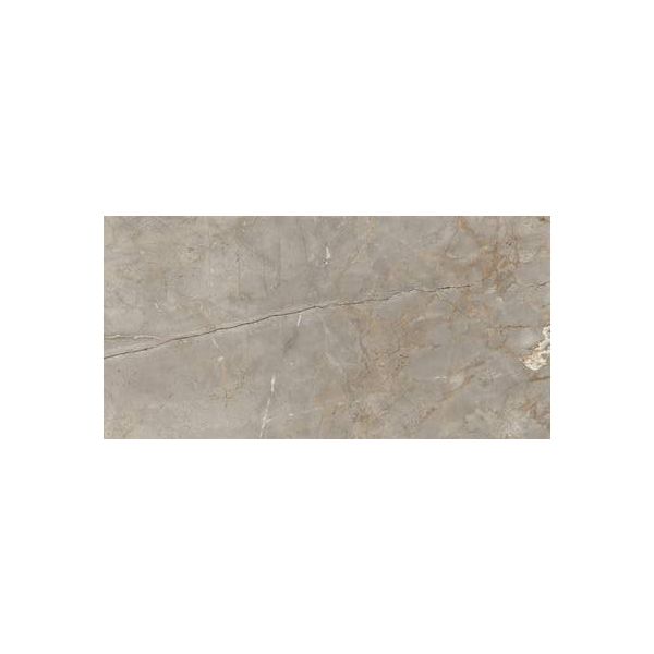 Rak Silver 60x120x0,9cm Grijs glans A12GZLSR-SNW.H0x5P