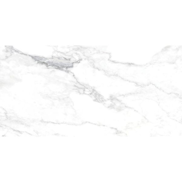 Rondine Canova 60x120cm Wit Mat (J88476)