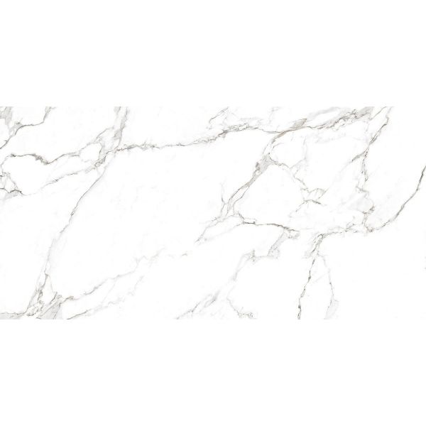 Rondine Canova 60x120cm Wit Mat (J88474)