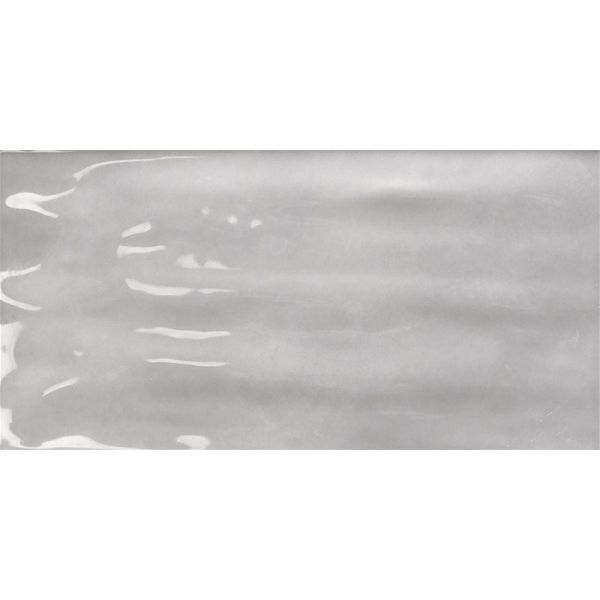 Tonalite Joyful Steel 10x20