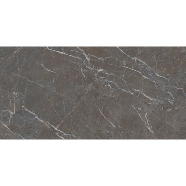 CeraVision Infinity Bruin 60x120cm (Infinity Brown Mat)