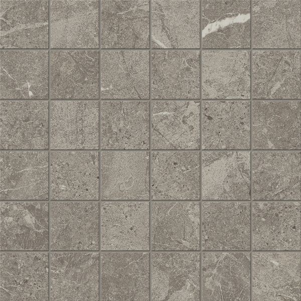CeraVision Duolith Grijs 30x30cm (Duolith Marengo Mosaic (5x5))