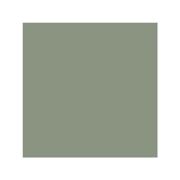 Top Cer 10x10cm L4428 Light green Vloertegel direct online kopen