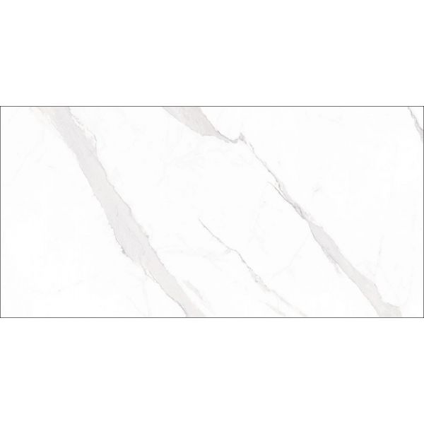 Geo Tiles Statuary 60x120cm Wit Glans (0048690127960)