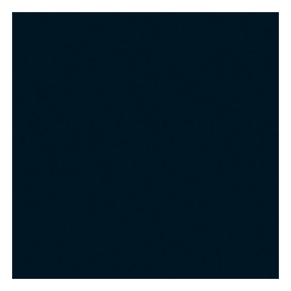 Mosa 100x100 16910 accent zwart-g