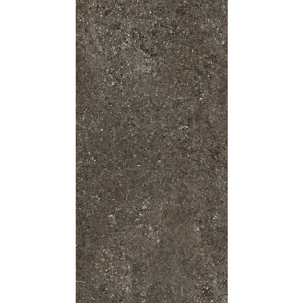 Florim Sensi Brown Fossil 60X120 6mm