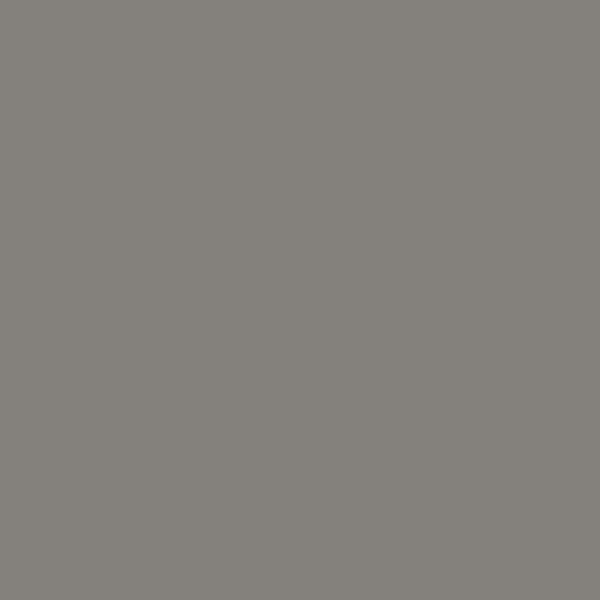 Pavigres 21 Uni Estanho Matte Rectified PGV183RT 59,7X59,7 9.2mm