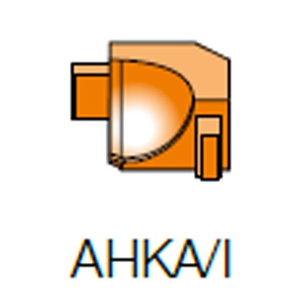 Schl.Dilex_I90/Ahka/Ae_Bin.Hk.