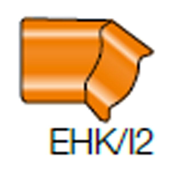 Schl.Dilex_I/Ebhk2R18_Bin.Hk.