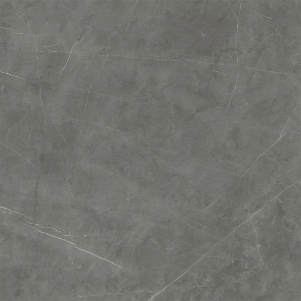 Amos Tessano Grey 120x120R Mat.