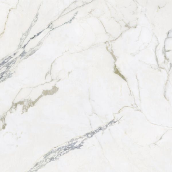 Amos Ravello White 120x120R Mat