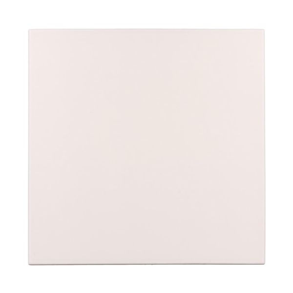 Amos Rivara White (Uni) 20x20