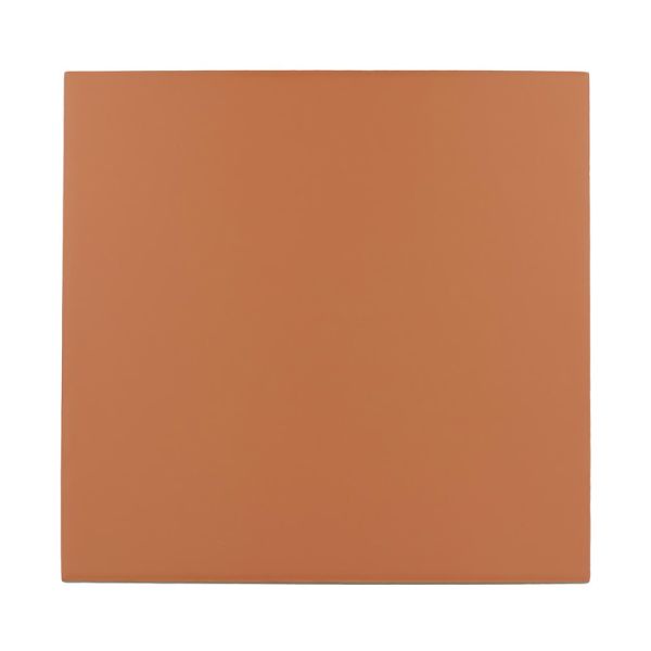 Amos Rivara Terre (Uni) 20x20