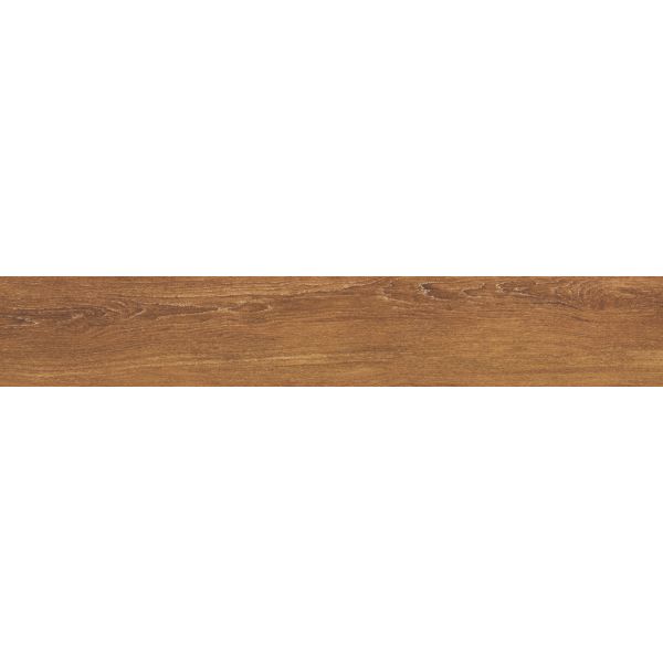 Amos Vernier Cigar 19,5x121R