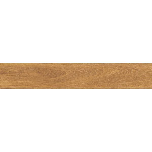 Amos Vernier Honey 19,5x121R