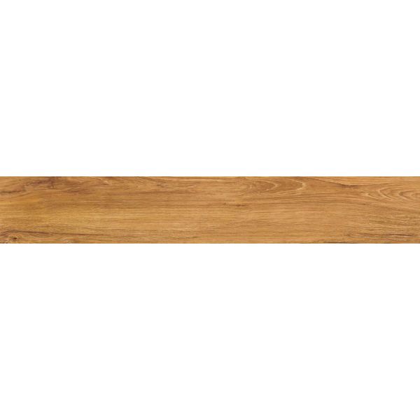 Amos Vernier Honey 24x151R