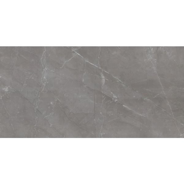 Amos Tekara Gris 60x120R Gepolijst
