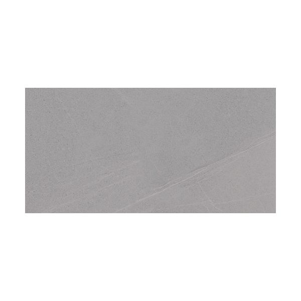 Seine-R Gris 60x120
