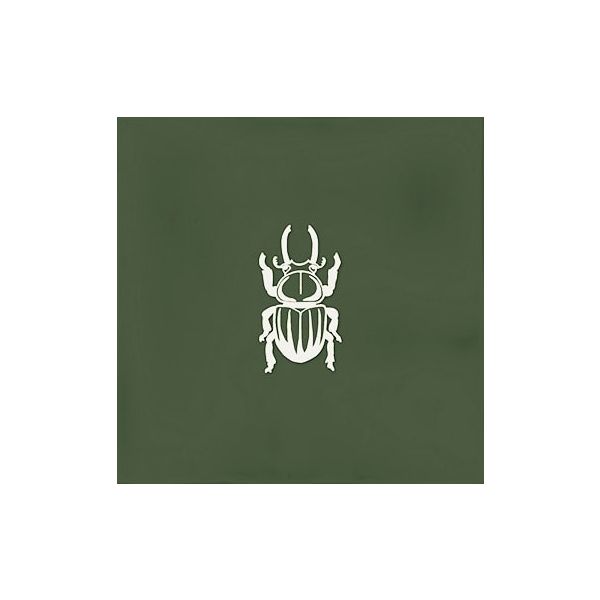 Ager-4 Green 13x13 set van 4