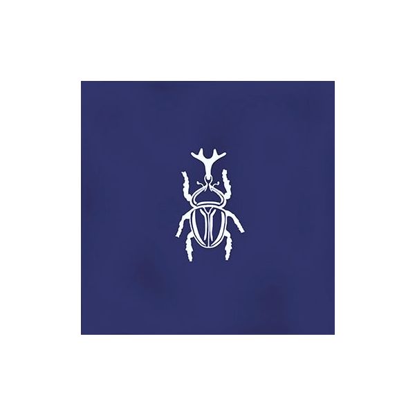 Ager-4 Blue 13x13 set van 4
