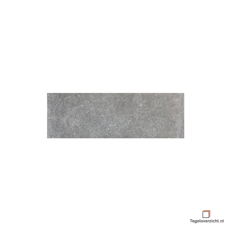 Sphinx Stone vloertegel 19,8×59,8 cm in grijs mat