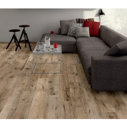 Flaviker in een moderne woonkamer